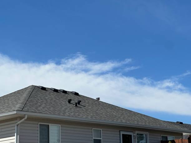Best Asphalt Shingle Roofing  in Monument Hills, CA